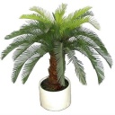Искусственное растение - пальма