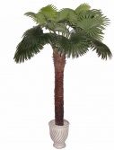 Искусственное растение 200см пальма