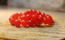 12 mm Браслет из натуральных камней  Камень агат Красный обеспечивает защиту, долголетия
